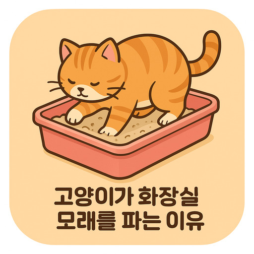 고양이가-화장실-모래를-파는-이유-원인-분석.jpg