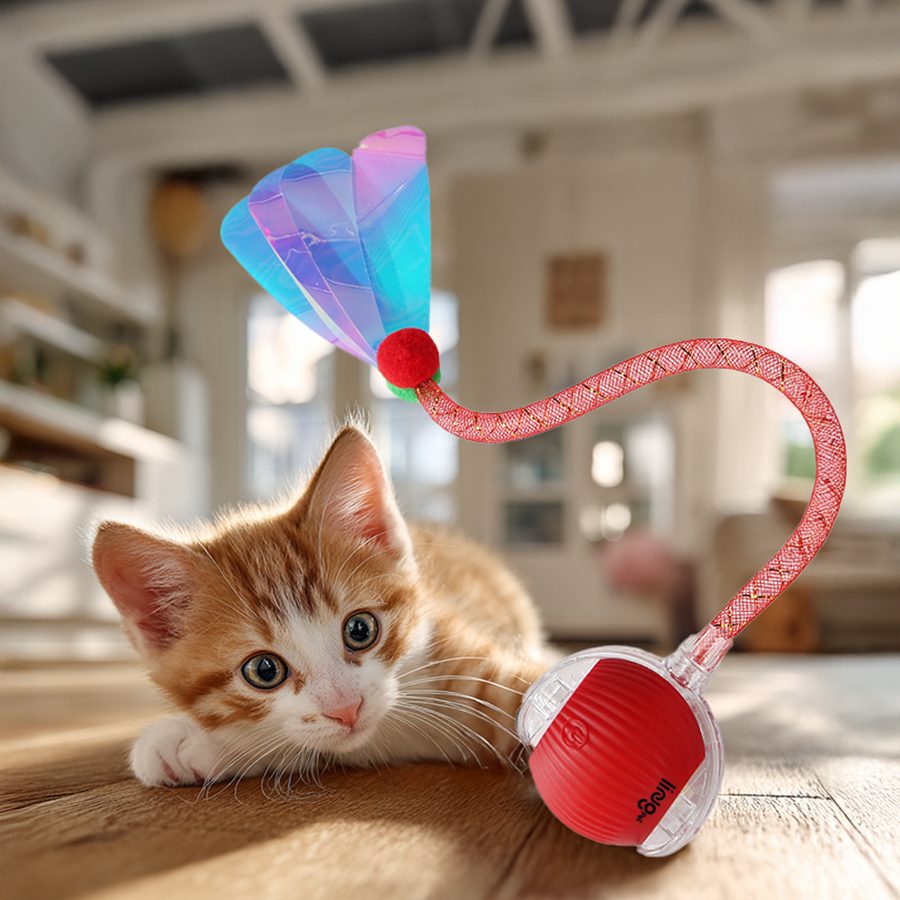 링펫 고양이 볼 자동장난감