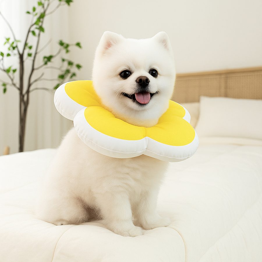 레토 반려동물 플라워 방수 초경량 넥카라