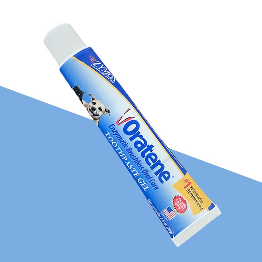 [자이목스] 오라틴 메인터넌스 투스페이스트 겔 70g 치약