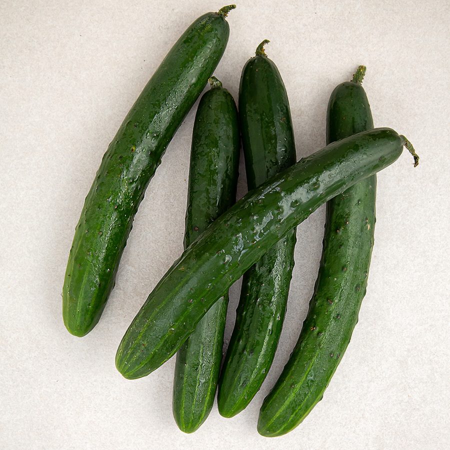 [로켓프레시] 아삭오이